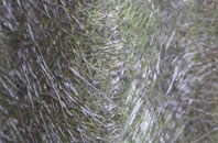 Freshwater East fibreglass roof work